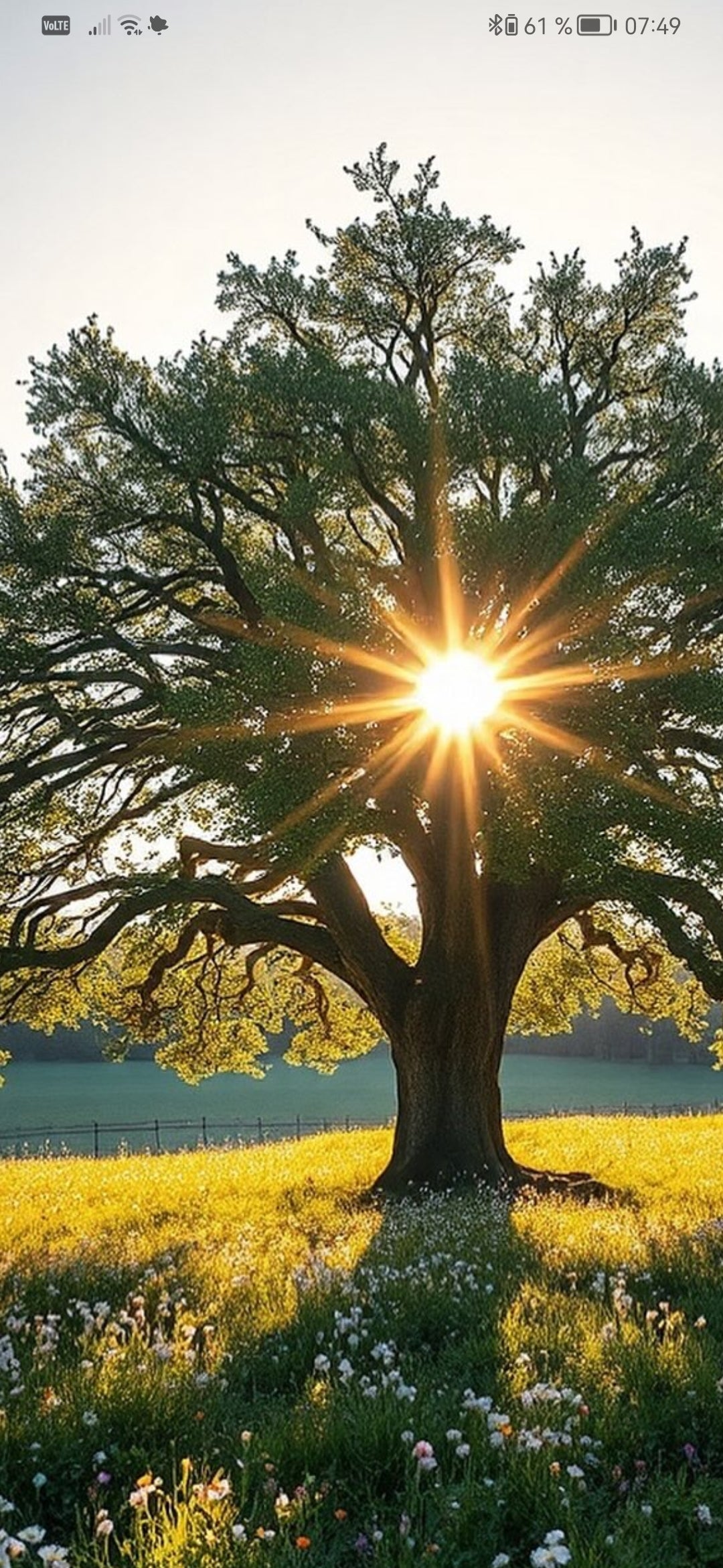 Soins énergétique de 30 mnts pour recevoir de l'ènergie. Pour sortir de cette lassitude.
